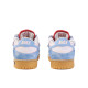 Nike Dunk SB
