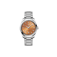 OMEGA 38mm 38mm 220.10.38.20.12.001