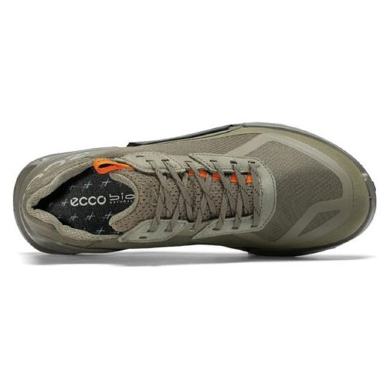 ecco 2.1