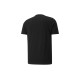 Puma T