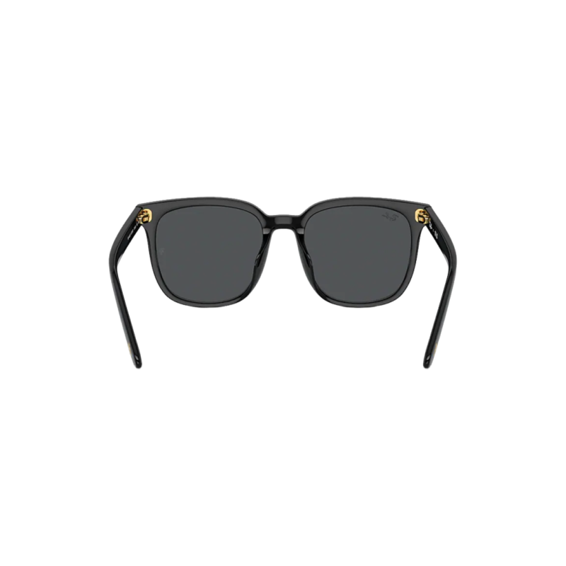 RayBan