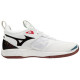Mizuno Wave Momentum 2