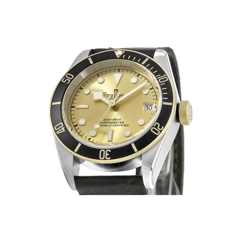 TUDOR 41mm M79733N-0003