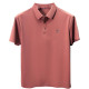 PIERRE CARDIN Polo