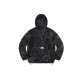 Supreme x the north face TNF FW22 logo