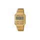 CASIO YOUTH Vintage A100WEG-9APR