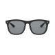 RayBan0RB4260D