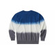 Champion Reverse Weave logo