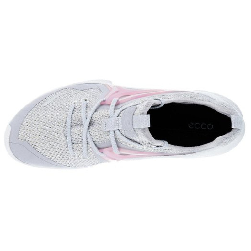 ecco Biom C Trail