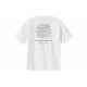 FAIRWHALE T