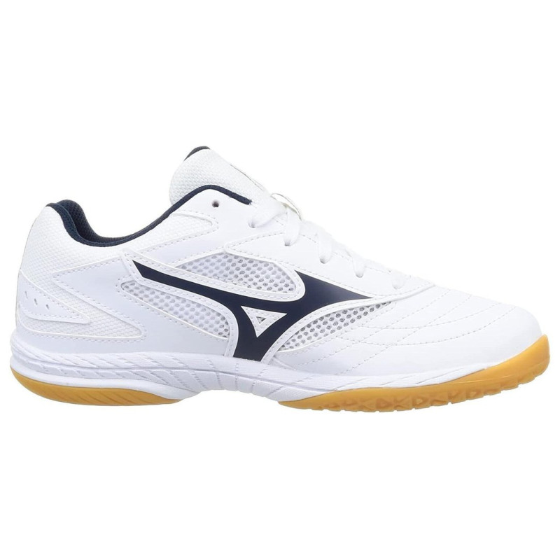 Mizuno