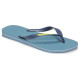 Havaianas Brazil Logo
