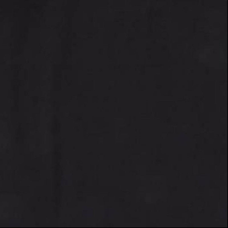 THE NORTH FACE T
