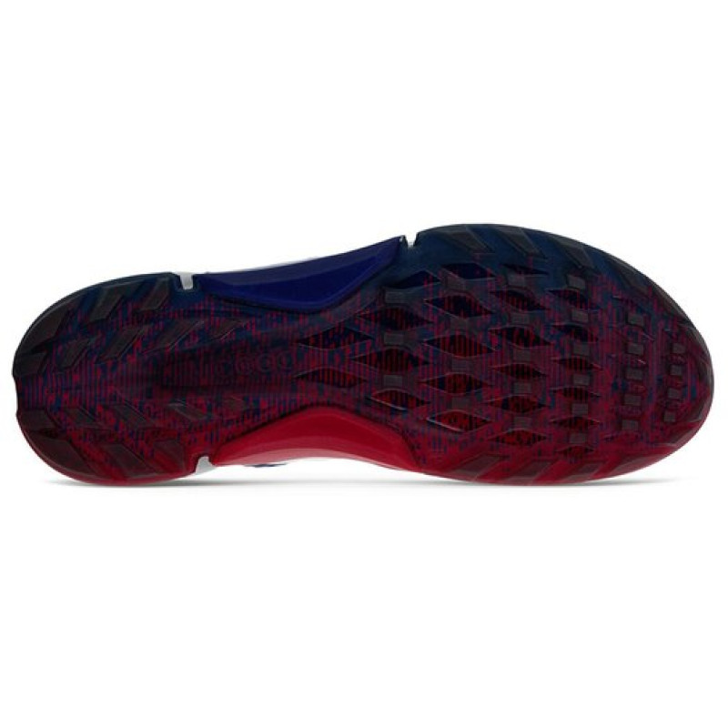 ecco Biom H4 Boa