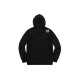 Supreme x THE NORTH FACE SS18