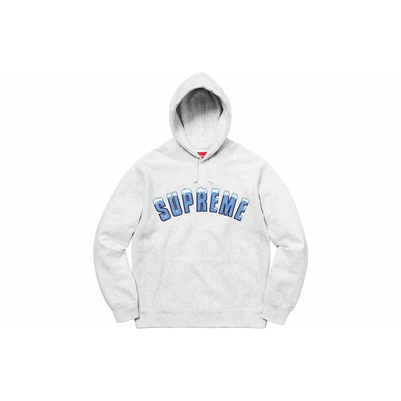 Supreme FW20 Week 1 Icy Arc Hooded Sweatshirt Logo