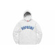 Supreme FW20 Week 1 Icy Arc Hooded Sweatshirt Logo