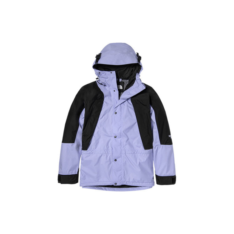 THE NORTH FACE 1994 Retro Mountain Futurelight