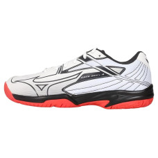 Mizuno