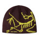 Arcteryx