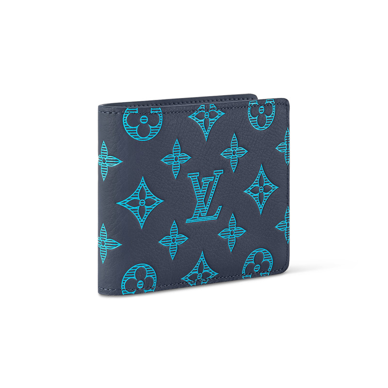LOUIS VUITTON Multiple