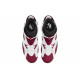 Jordan Air Jordan 6 retro 
