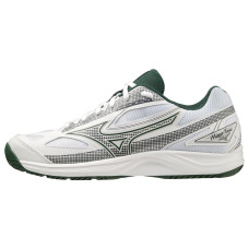 Mizuno