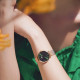 Daniel Wellington PETITE 30 DW00100479