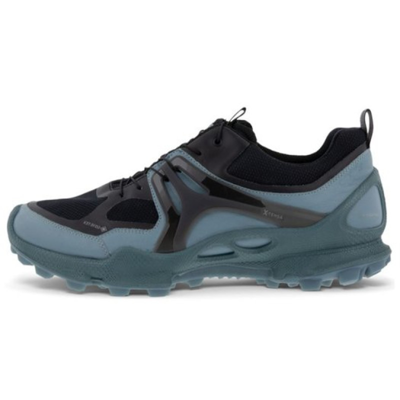 ecco Biom C Trail