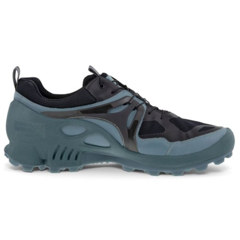 ecco Biom C Trail