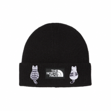 THE NORTH FACE logo