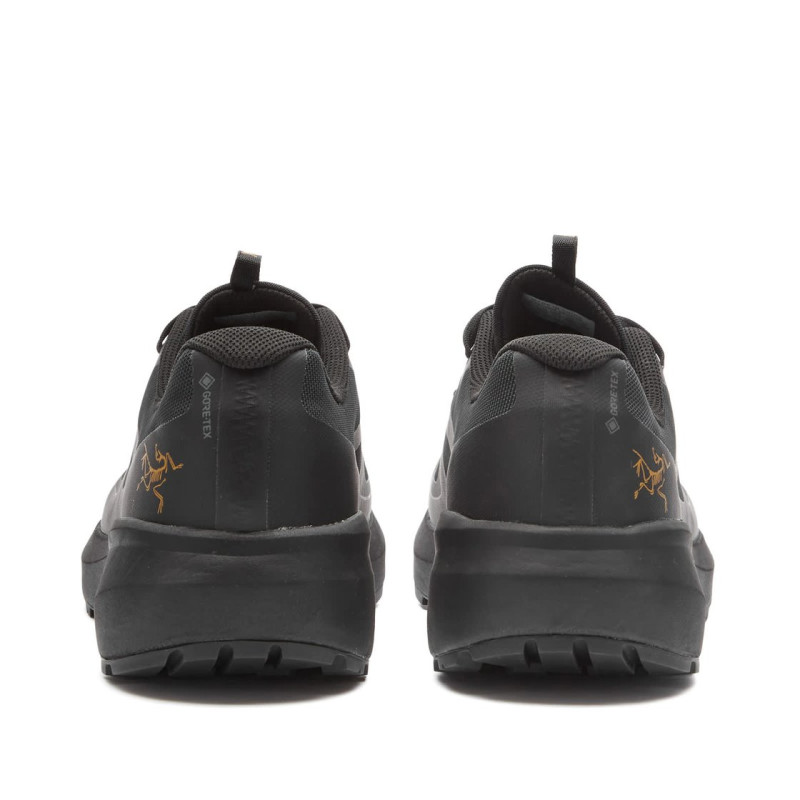 Arcteryx Norvan LD3 GTX