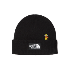 THE NORTH FACE logo
