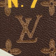LOUIS VUITTON Trunk