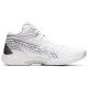 Asics Gel-Hoop V14