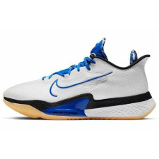 Nike Air Zoom BB NXT EP