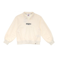 Dickies DK0A87FVC48