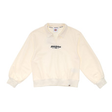Dickies DK0A87FVC48