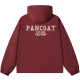 Pancoat Logo