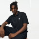 361 LogoPolo