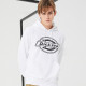 Dickies Logo
