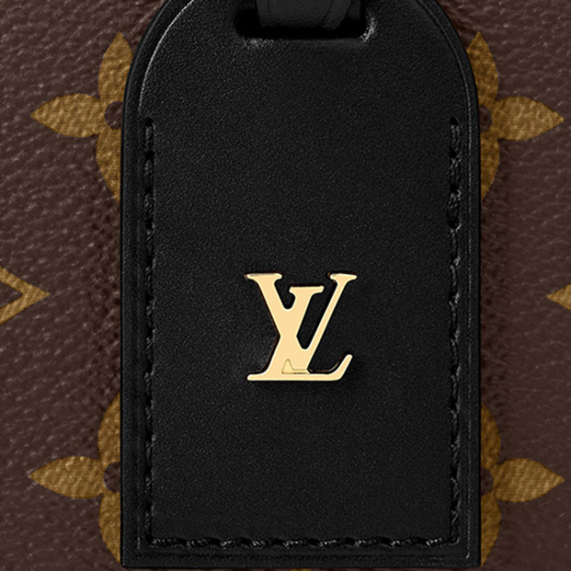 LOUIS VUITTON PETITE MALLE Souple