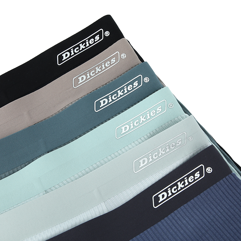 Dickies LOGO 3