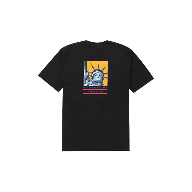Supreme x THE NORTH FACE T