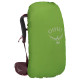 OSPREY KYTE 38L