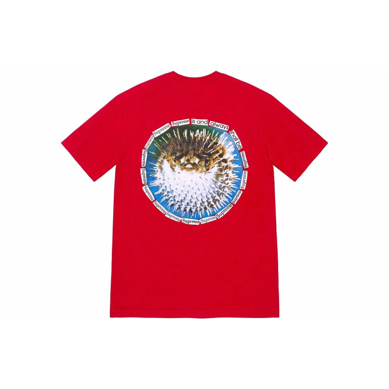 Supreme SS23 WEEK18 BLOWFISH TEE T