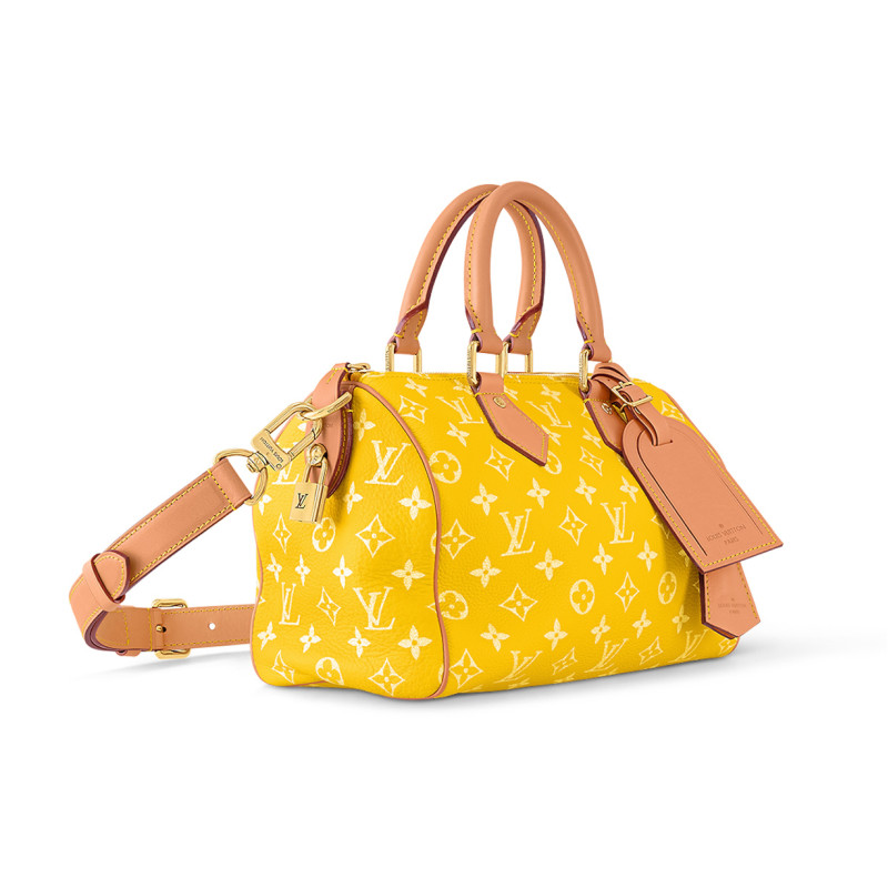 LOUIS VUITTON Speedy 25