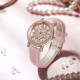 Disney SF-51301