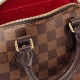 LOUIS VUITTON SpeedyBandoulire 20