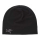 Arcteryx